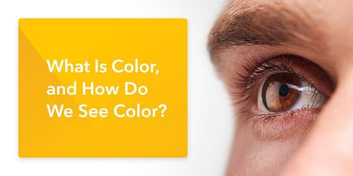 01-What-Is-Color-and-How-Do-We-See-Color_.jpg