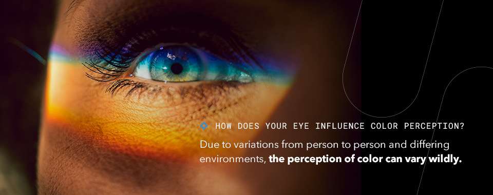 02-How-Does-Your-Eye-Influence-Color-Perception_.jpg