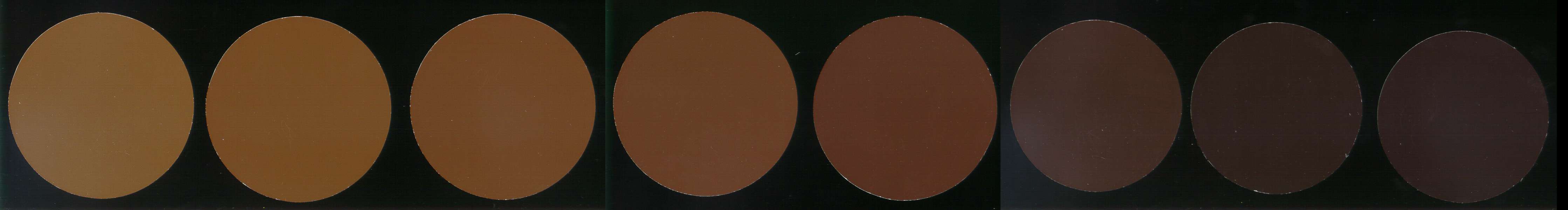 03-07-02-06-full-set-of-scaa-agtron-color-standards-35-95.jpg