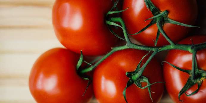 The Importance of Color in Tomato Breeding